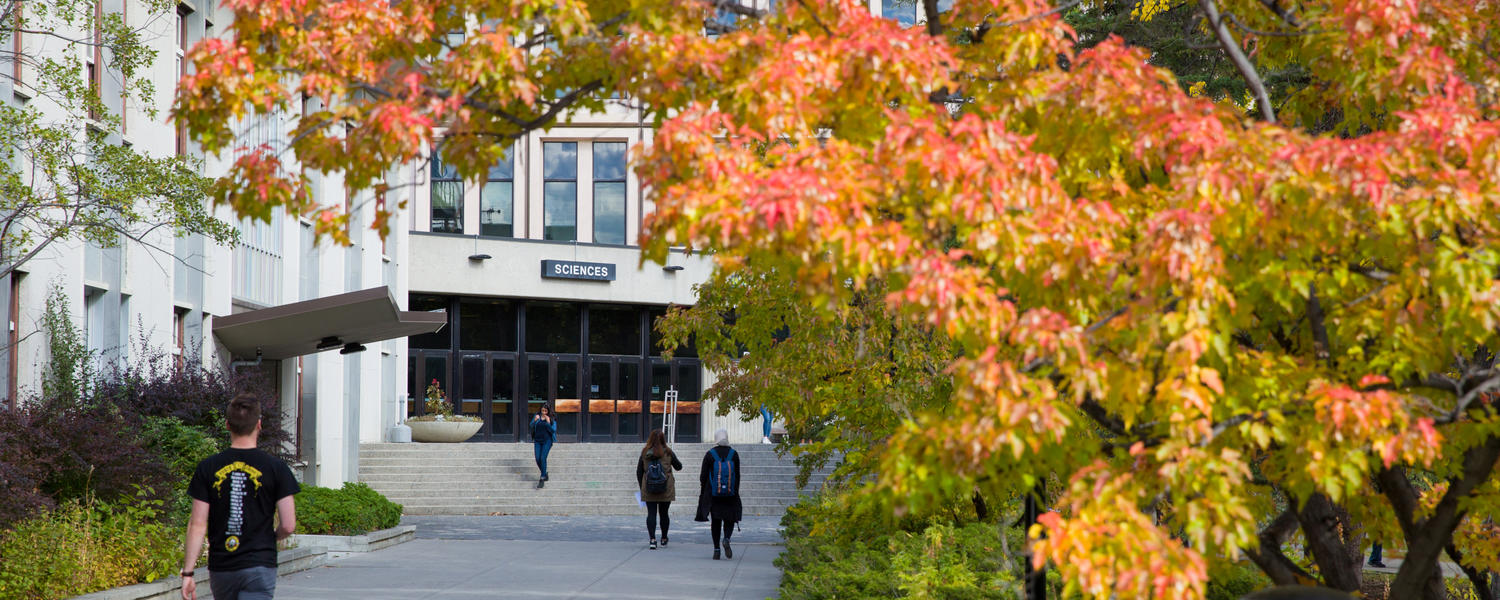 Fall foliage campus. A student walks towards the Social Science building