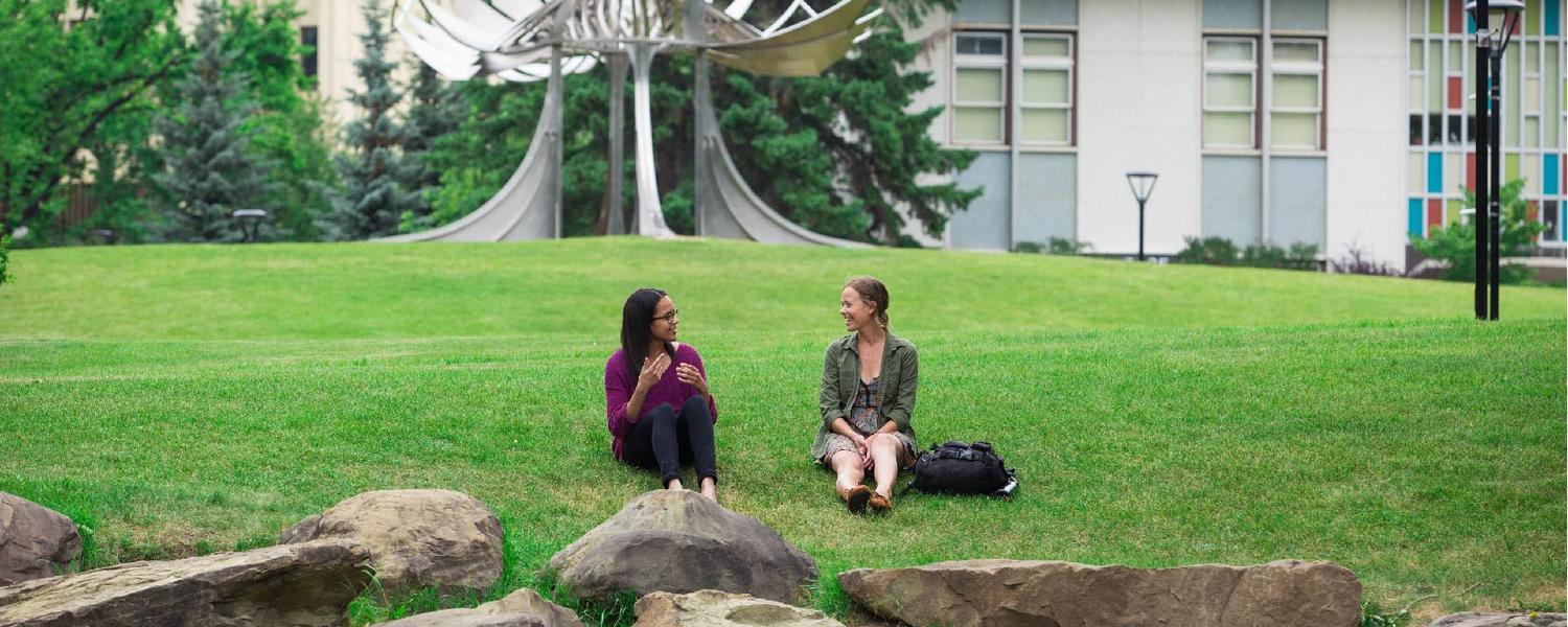 Students sitting on a grassy hill on campus 
