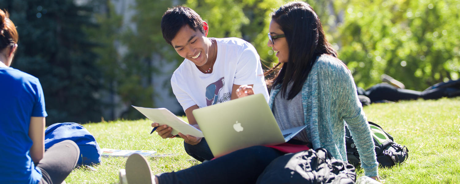 Students studying outside on campus