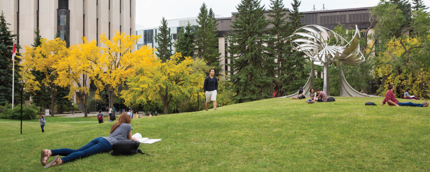 Campus outside in fall