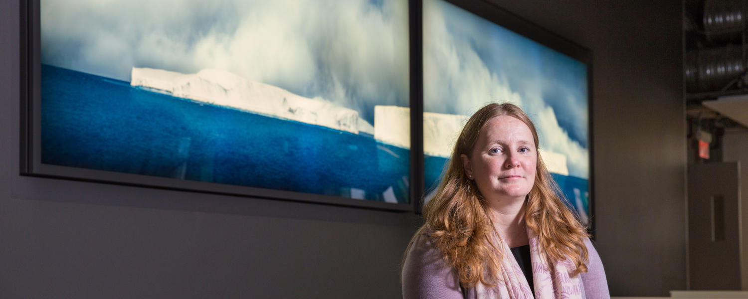Petra Dolata behind a screen with an image of the Arctic