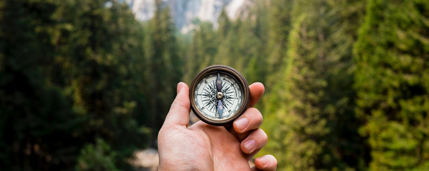 Compass in the woods