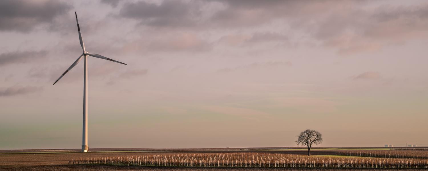 Windmill in a field
