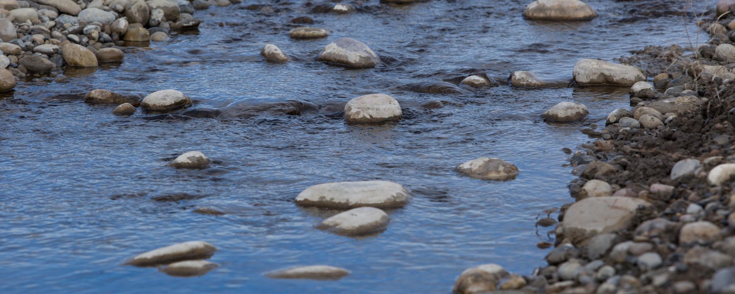 Stream of water