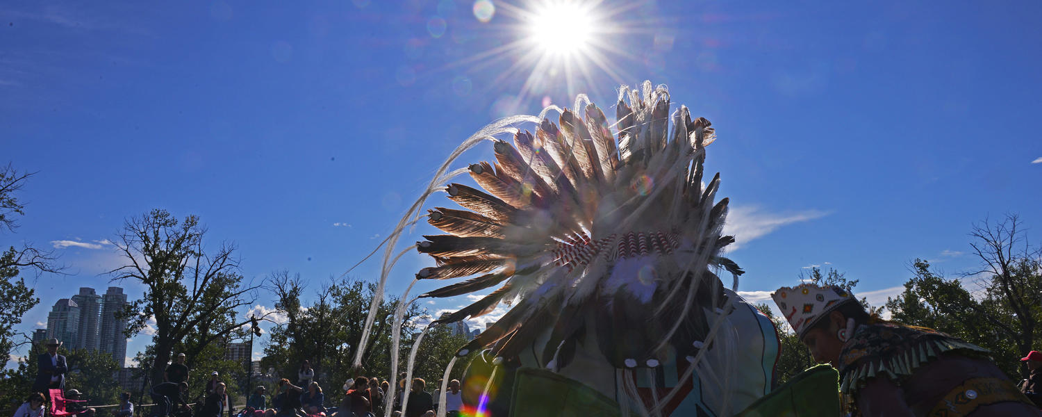 Indigenous head dress 