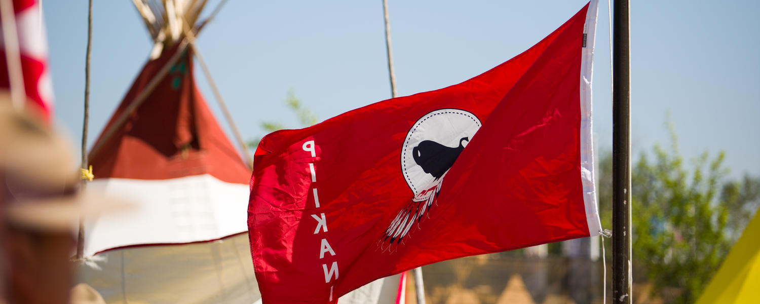 Indigenous flag 