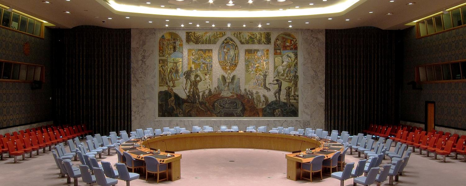 United Nations Security Council