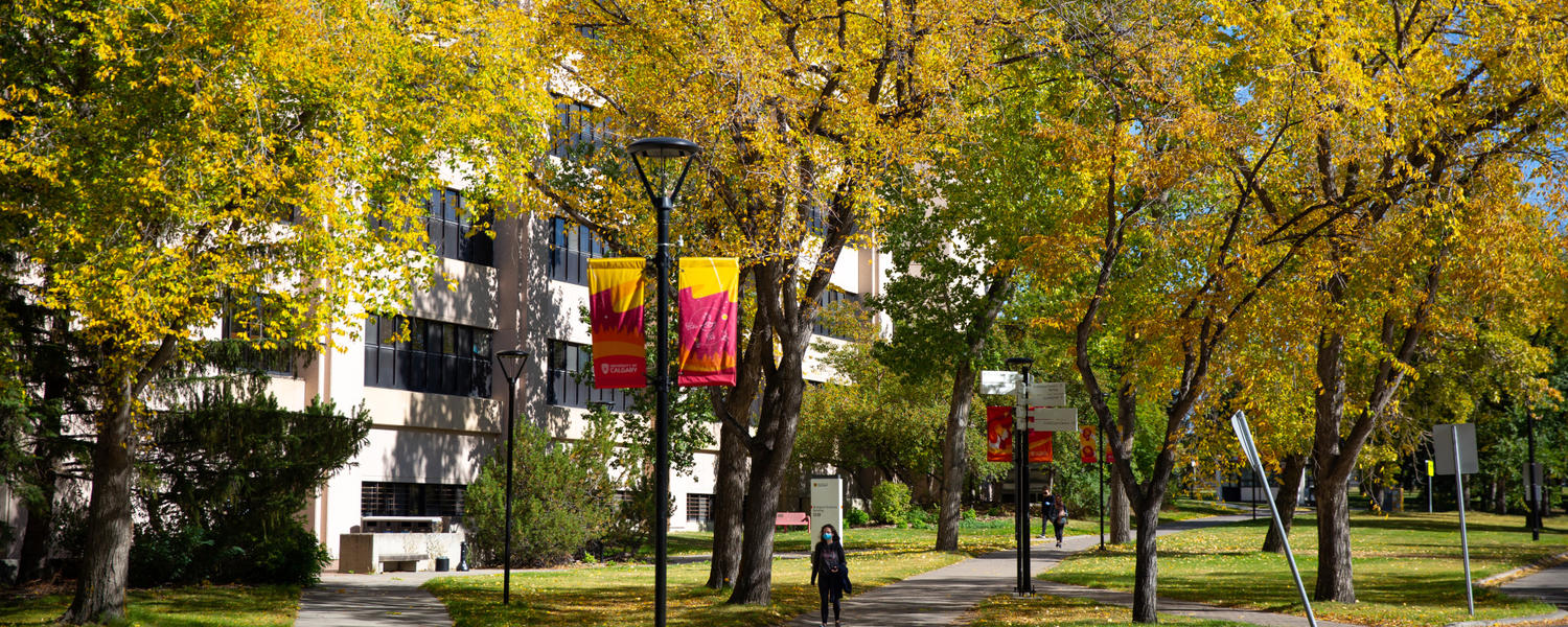 Fall leaves start to appear at the University of Calgary campus in September 2020.