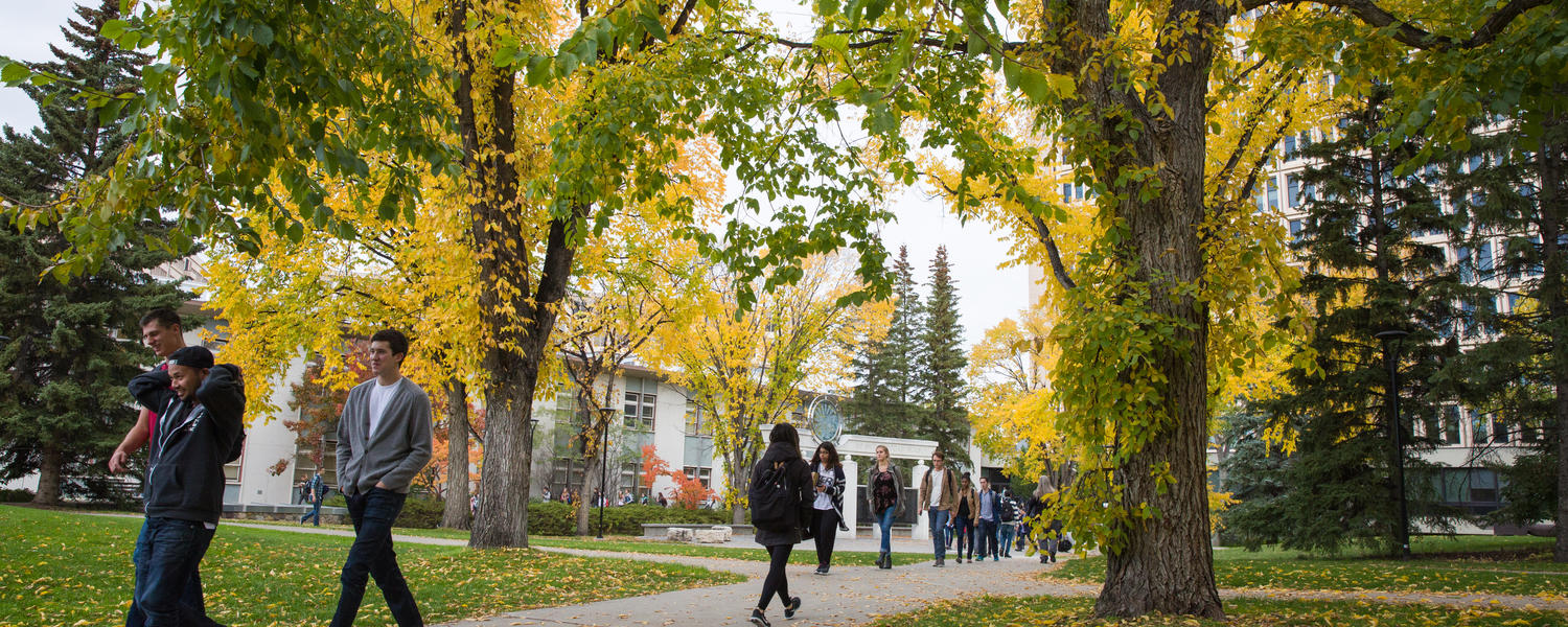 foot traffic on campus 