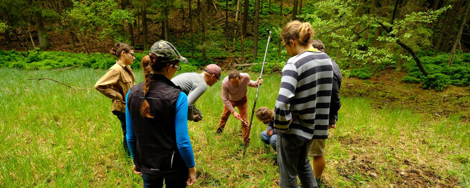 anthropogenic forests