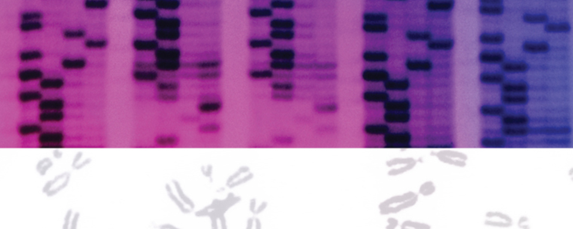 DNA sequencing autoradiograph, Michele Studer, Wellcome Collection (CC BY 4.0); Fragile X metaphase spread + nucleus, Wessex Reg. Genetics Centre, Wellcome Collection (CC BY 4.0).