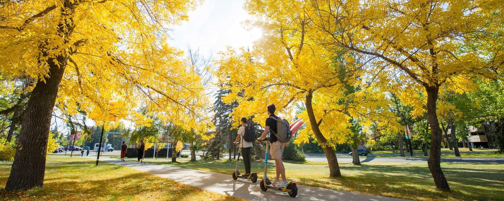 Image of Campus