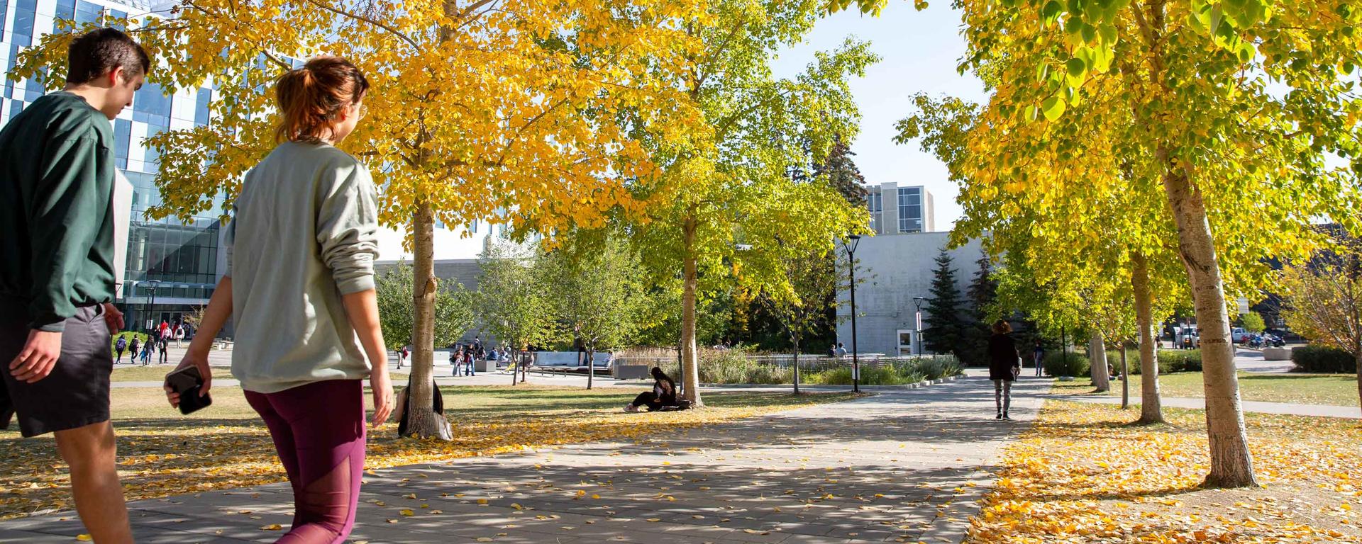 UCalgary campus in the fall