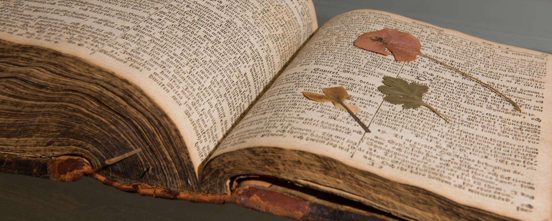 The Book Dissected by Maria Zytaruk
