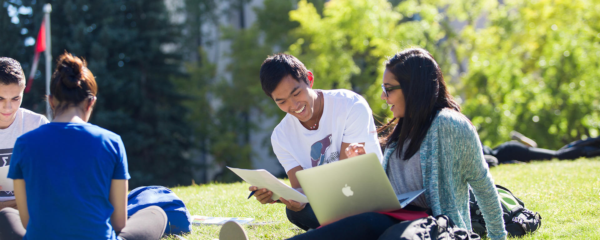 Students sitting on grass 