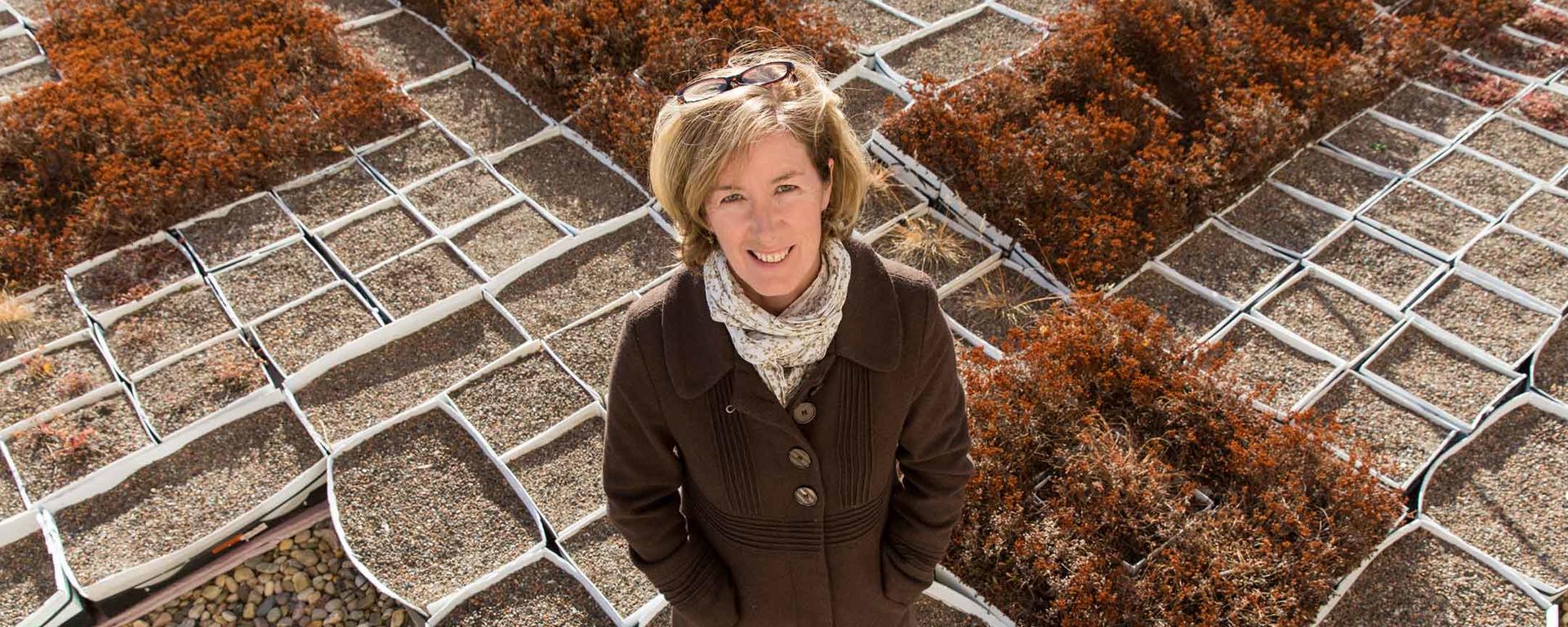 Karen Ross, Masters student in Geography, stands in a rooftop garden plot