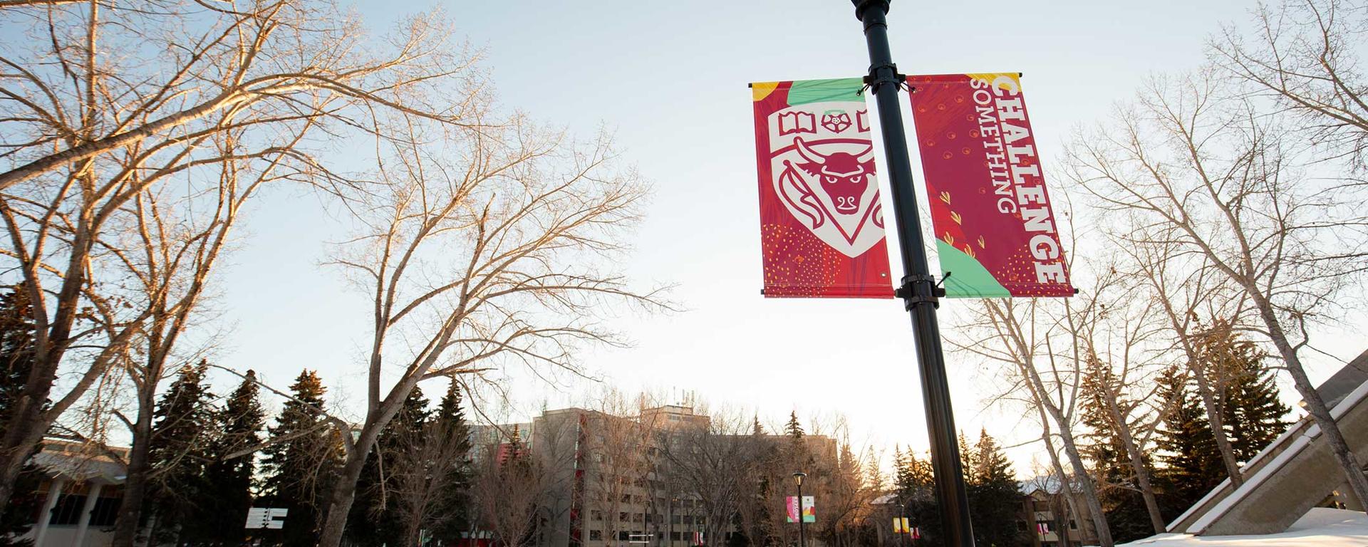 Campus flags hang in the foreground of a snowy winer scene