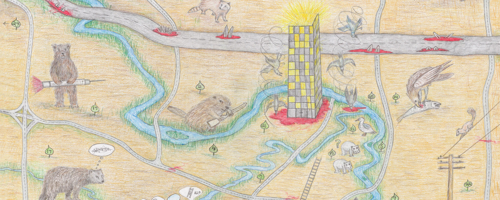 The Animals Guide to Calgary map detail - color pencil drawing of bears, beaver, hippos and fish along Elbow River
