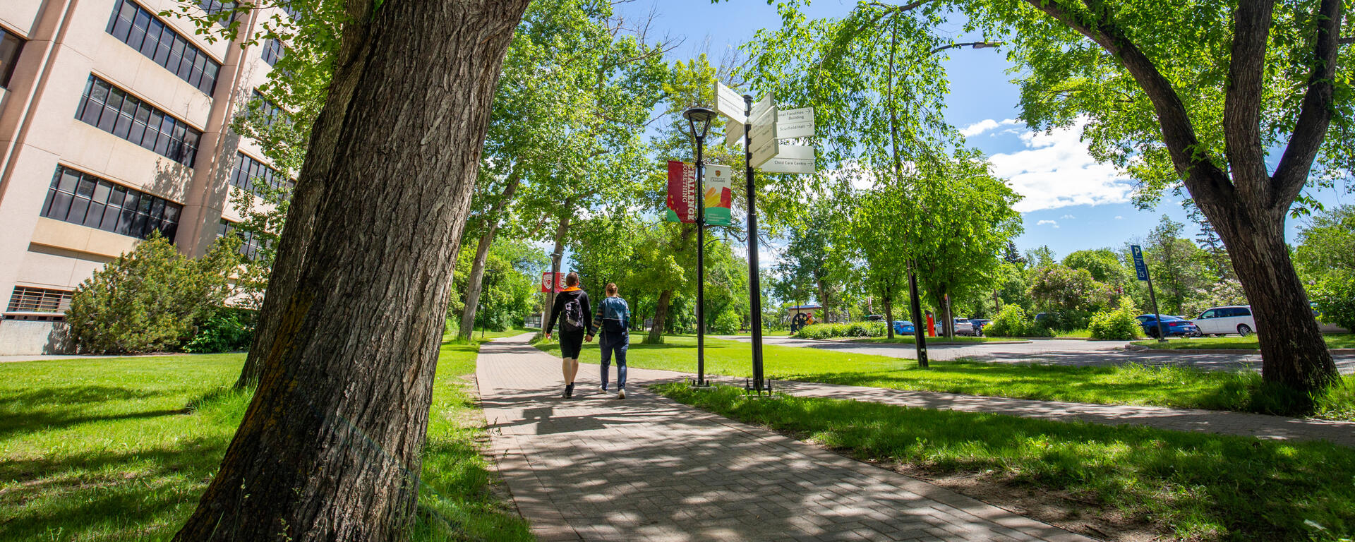 Students walk on a sidewalk on campus on a calm summer day