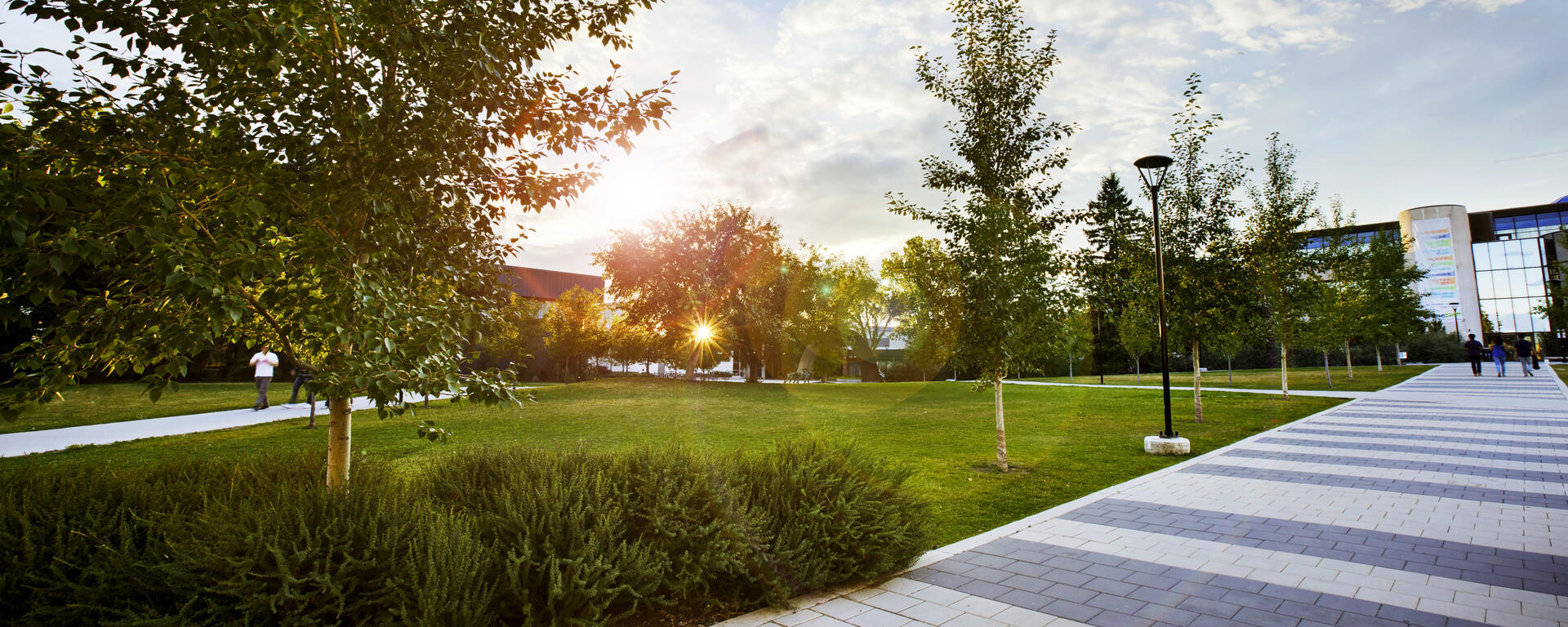 Vibrant UCalgary campus at sunset