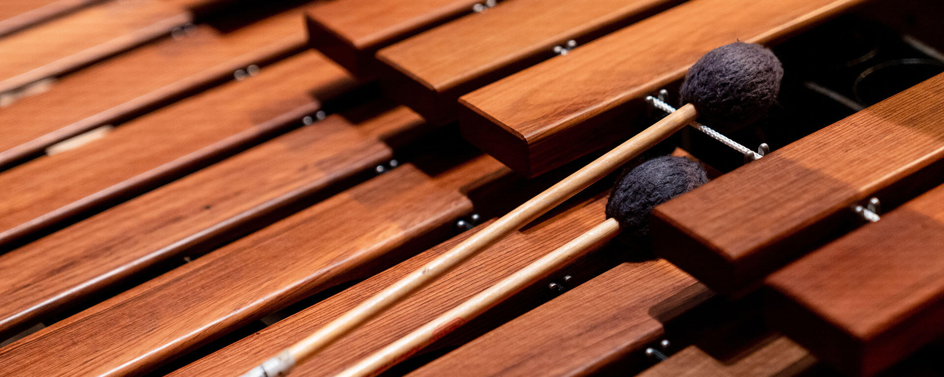 UCalgary School of Creative and Performing Arts, Music Faculty Instructors