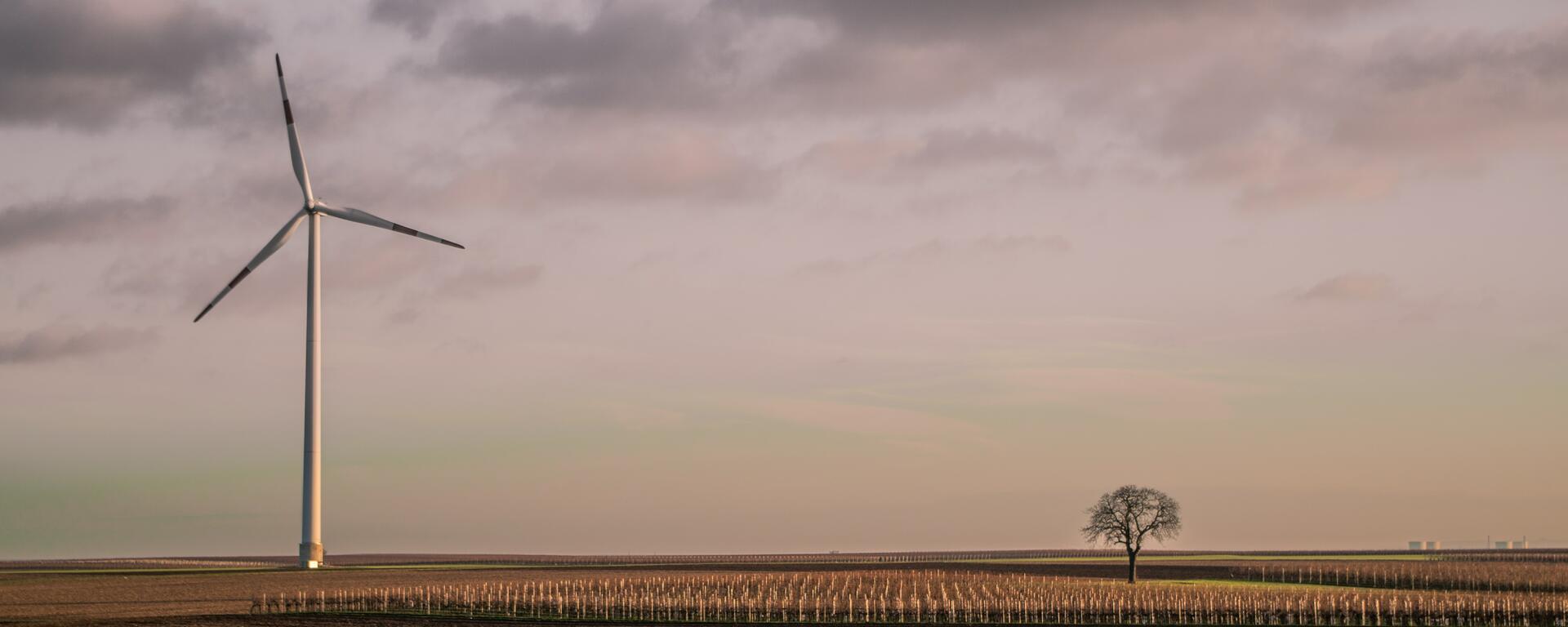 Windmill in a field
