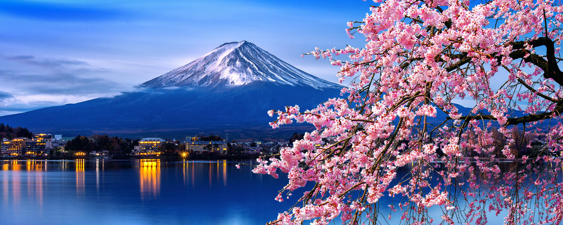 Fuji mountain and cherry blossoms in spring, Japan. - stock photo
