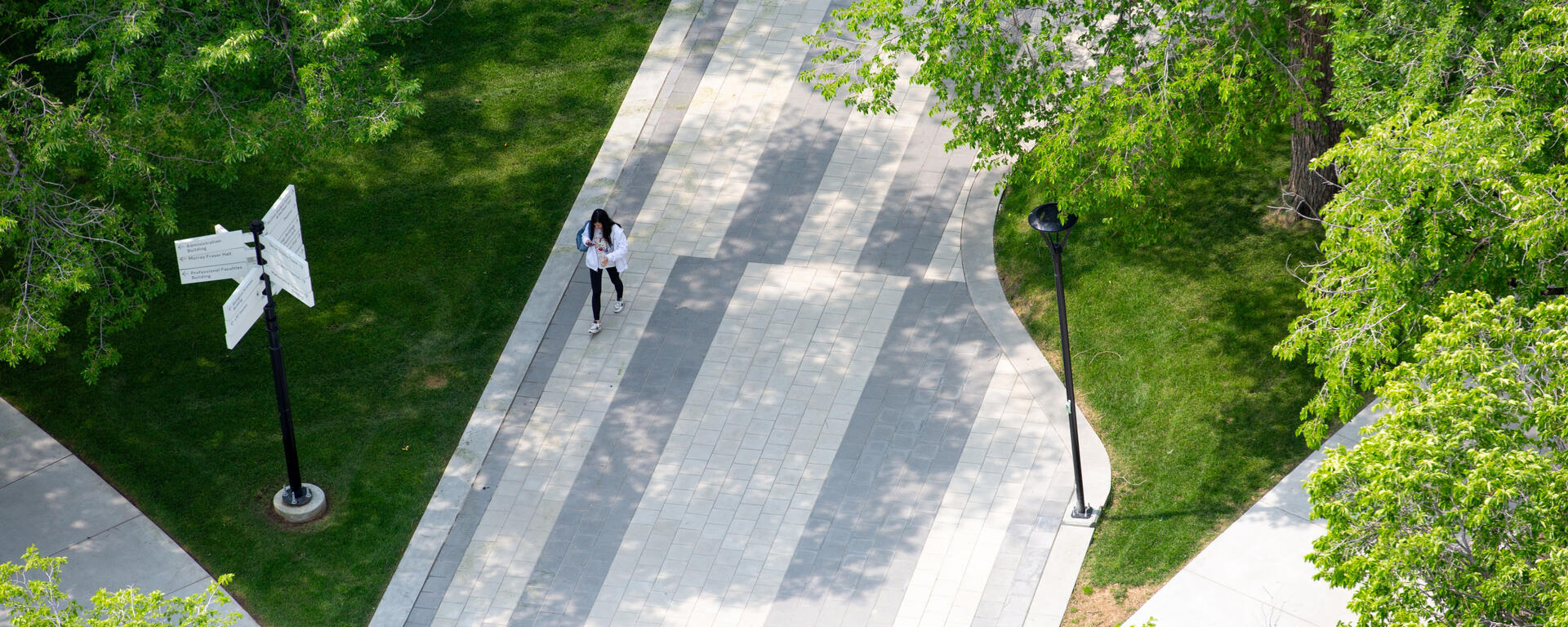 An aerial view of a person walking through the UCalgary campus in the summer. 