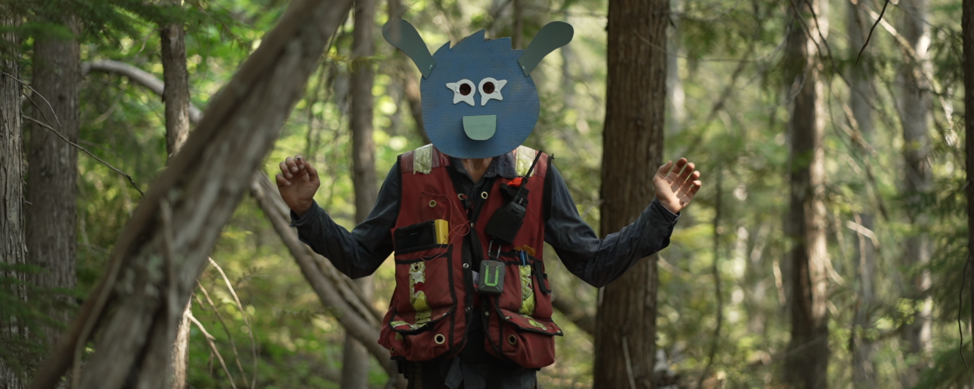 forest worker wearing paper mask surrounded by woodlands 