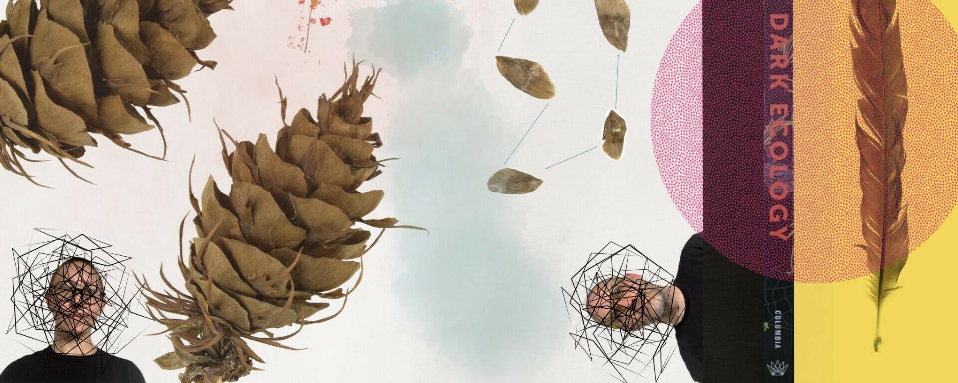 Cover of Dark Ecology book with images of pinecones and pressed flowers and a feather