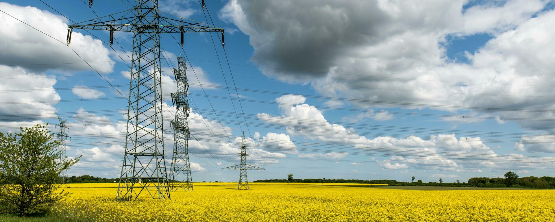 Power lines crossing over a vibrant yellow canola field under a partly cloudy blue sky.