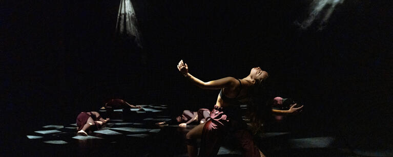 UCalgary School of Creative and Performing Arts, Dance@Noon