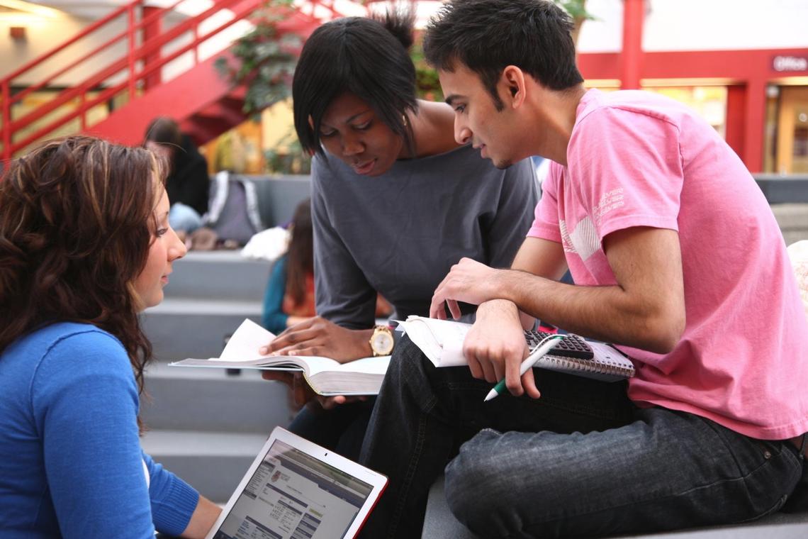 UCalgary students studying