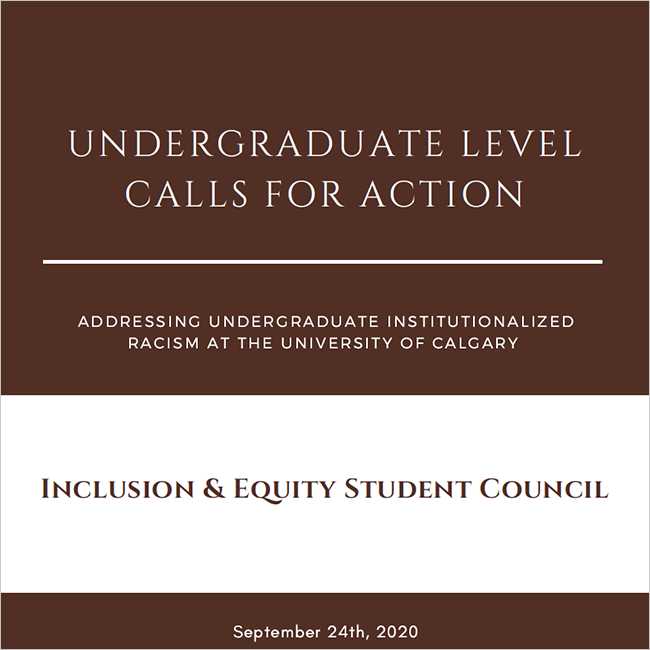 Inclusion & Equity Student Council Undergraduate Level Calls for Action