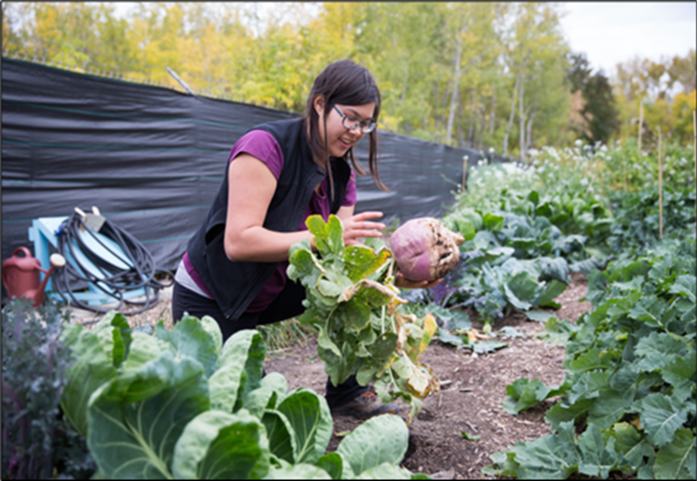 Student working on garden