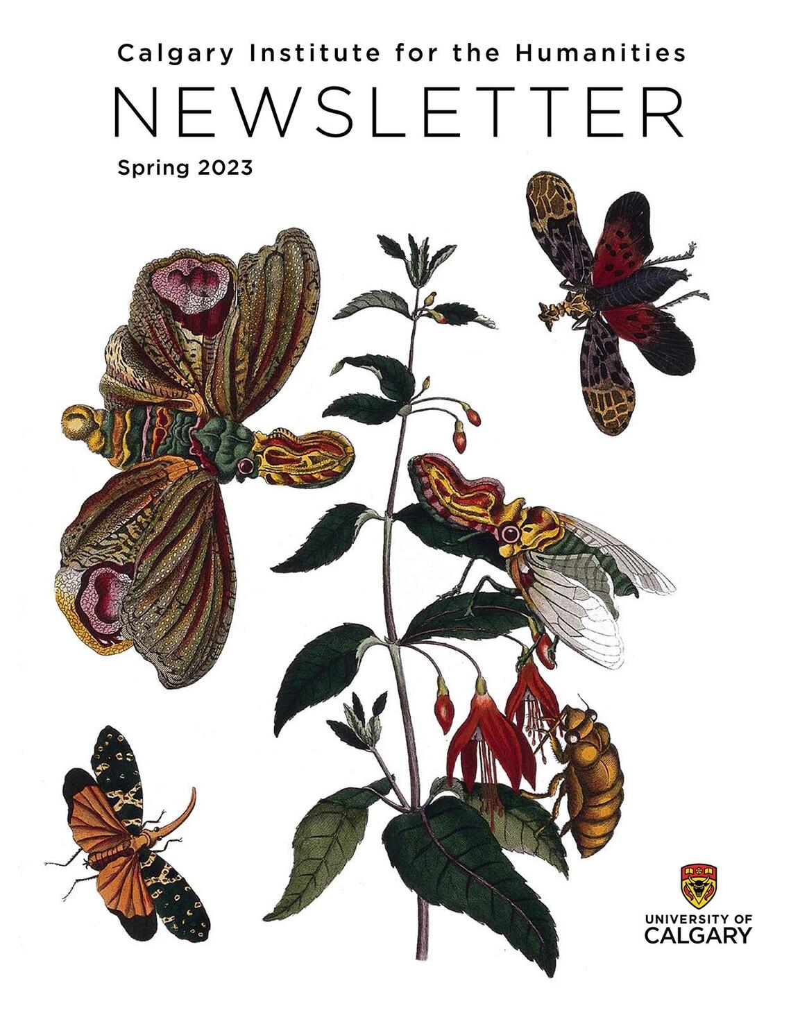 Newsletter cover with illustration of butterflies and insects