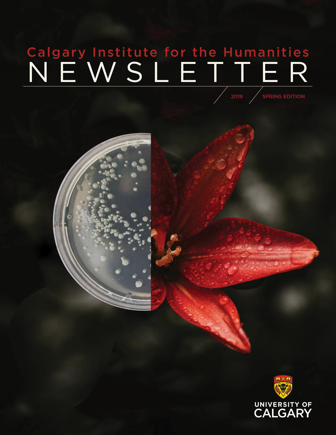 Newsletter cover image split down the middle with the left side a white petri dish growing a culture and the right side a red flower with raindrops resting on waxy petals 