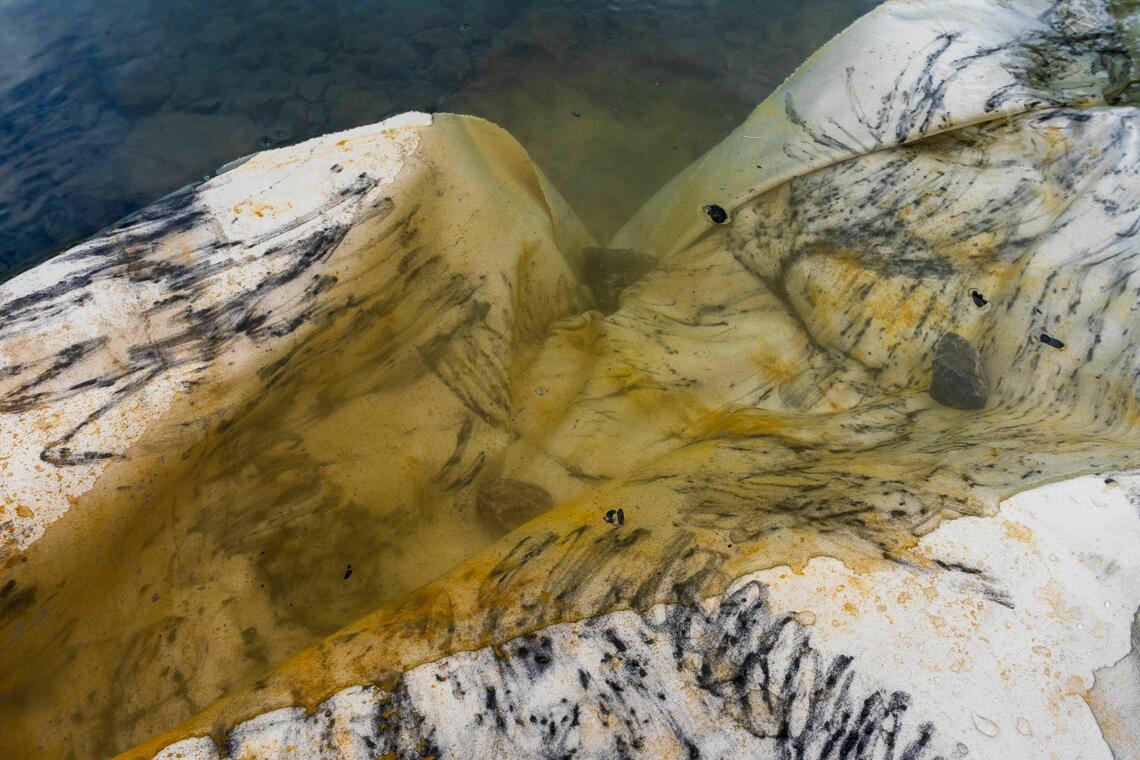 Will Neuhaus; Untitled (Bow River Collaboration)