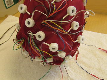EEG Caps 