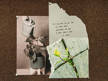 A bulletin board collage of a magzine image of a person watering an indoor plant with a watering can at left, a watercolour image of flowers growing through a crack in the pavement at right, and a piece of paper with the text "It is my time to just feel my heart beat, reminding me that I still have a life... I exist" 