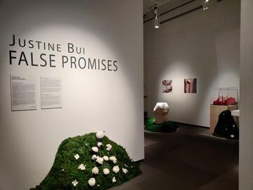 False Promises, Justine Bui