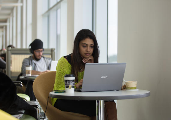Students study in library