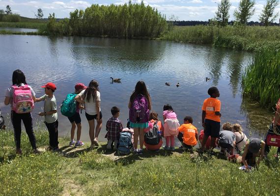 Geography Summer camp