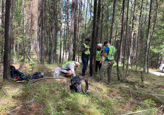 forest research
