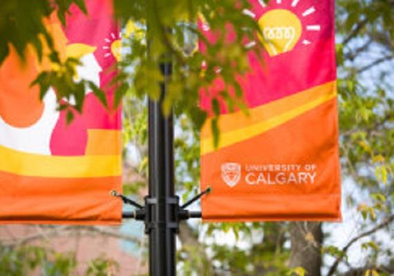 leaves and campus banner