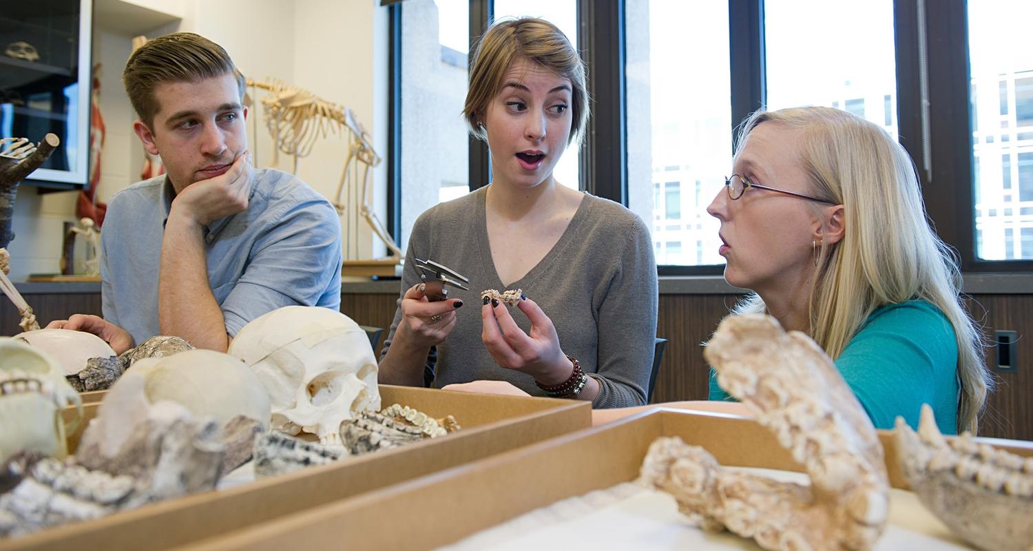 Students in bone lab