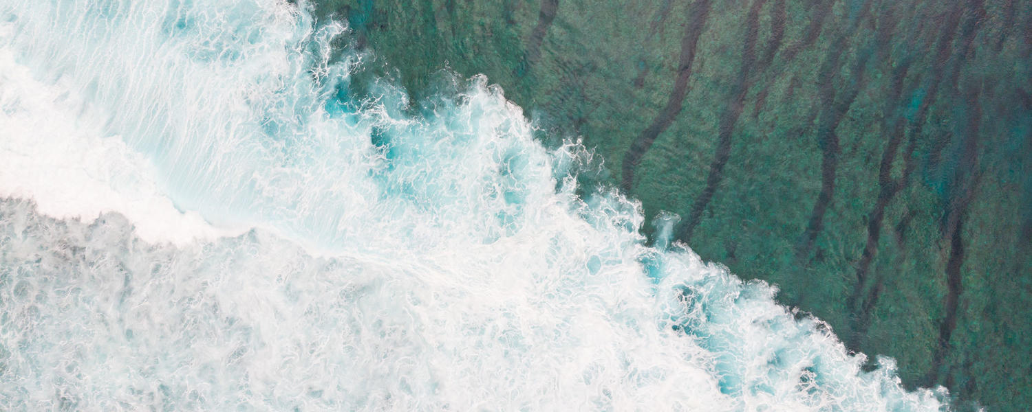 Environmental Management and Governance