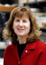 M. Anne Katzenberg