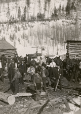 "Logging at Blairmore, Alberta.", [ca. 1900-1905] (CU1229519) by Photographer Unknown. Courtesy of Libraries and Cultural Resources Digital Collections, University of Calgary