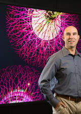 Michael Adorjan Headshot